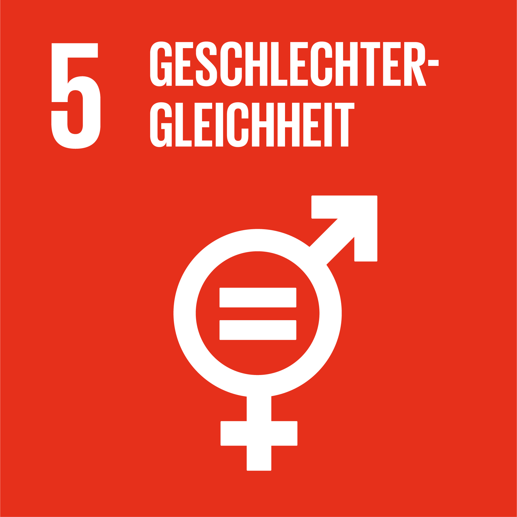 SDG icon DE 05